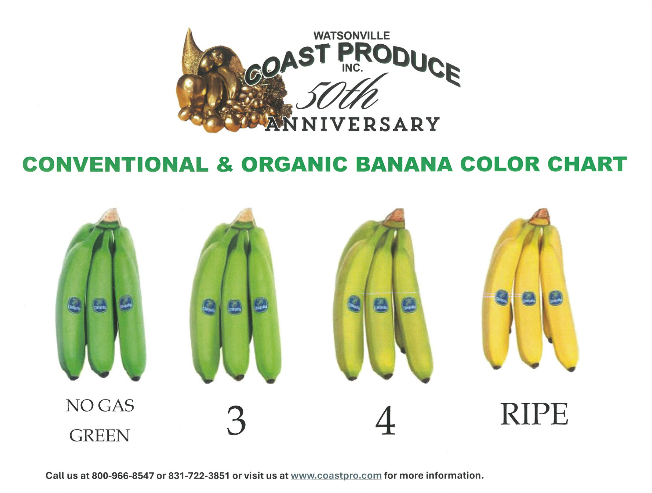 Go Bananas! — WCPI